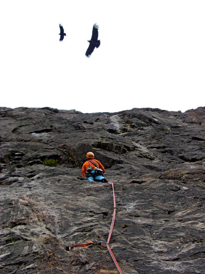 Casaandina Chalten El Chaltén Eksteriør billede